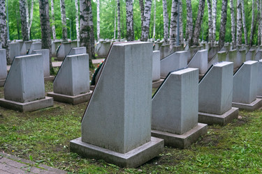 Similar image 22194888