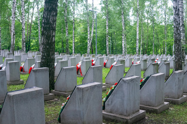 Similar image 22194891