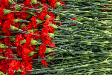 Similar image 22194893