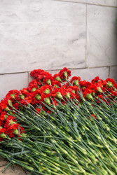 Similar image 22194895