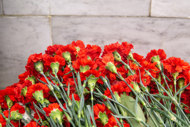 Similar image 22194897