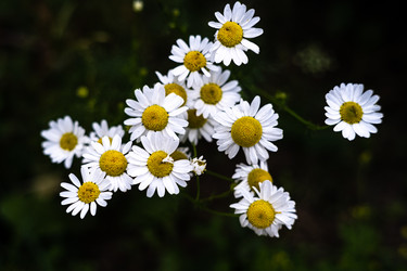 Similar image 22208444