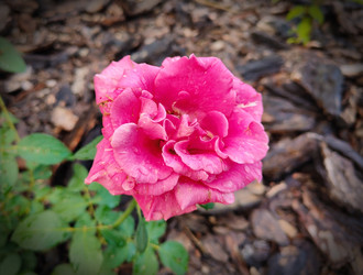 Similar image 22194899