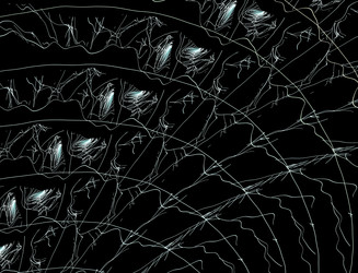 Similar image 22197660