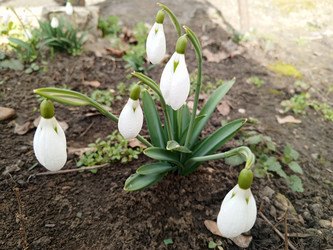 Similar image 22197357