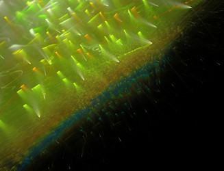 Similar image 22198808