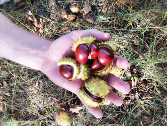 Similar image 22204605