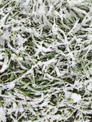 Similar image 22204608