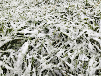 Similar image 22204609