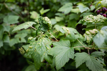 Similar image 22194858