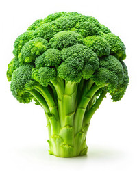 Similar image 22198822