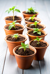 Similar image 22198832