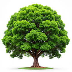 Similar image 22198860