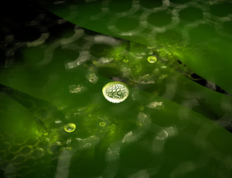 Similar image 22197681