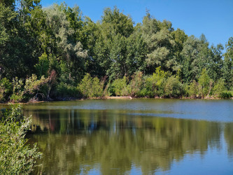 Similar image 22194904