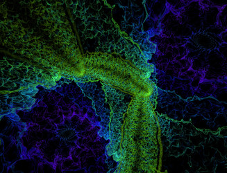 Similar image 22197693