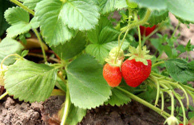 Similar image 22203593