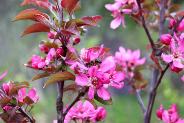 Similar image 22194906