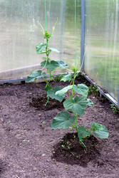 Similar image 22194907