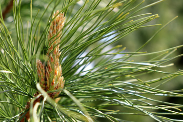 Similar image 22194908