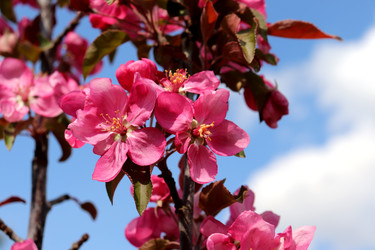 Similar image 22194909