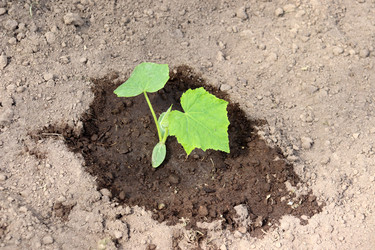 Similar image 22203595