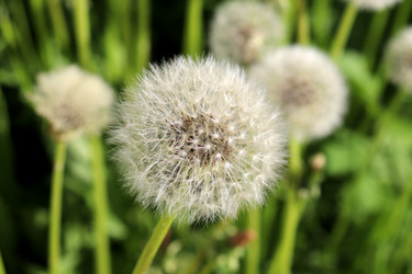 Similar image 22194910