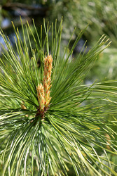 Similar image 22203596