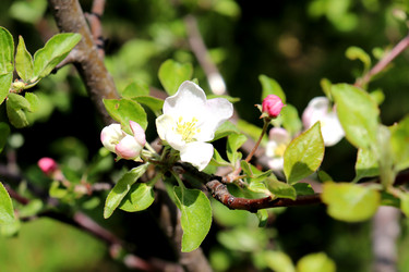 Similar image 22203597