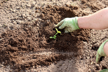 Similar image 22194911