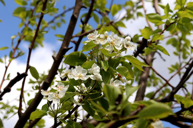 Similar image 22203600