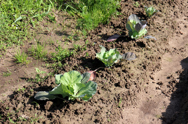 Similar image 22194912