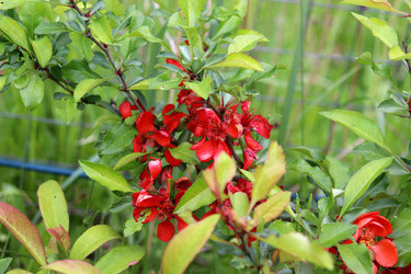 Similar image 22194913