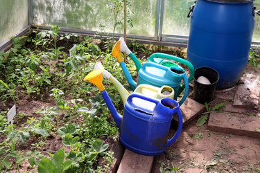 Similar image 22194915