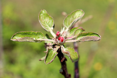 Similar image 22194917