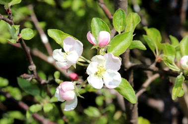 Similar image 22194919