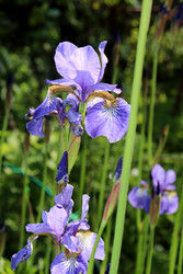 Similar image 22194920