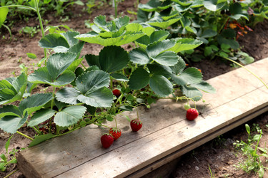 Similar image 22194922