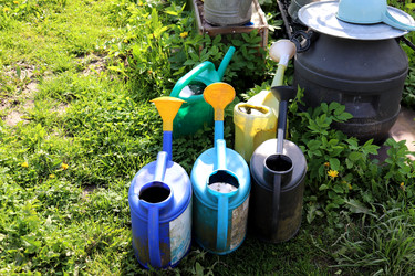 Similar image 22194923