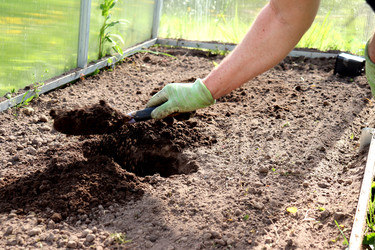 Similar image 22203601