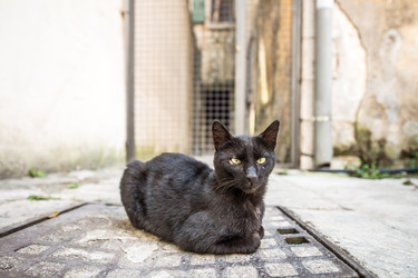 Similar image 22195275