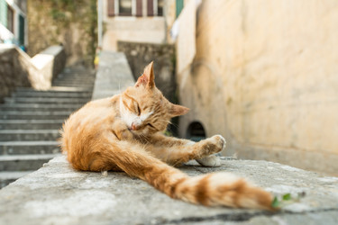 Similar image 22195276