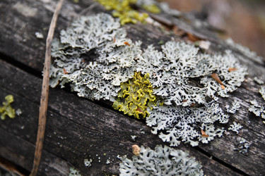 Similar image 22203552