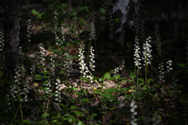 Similar image 22203553