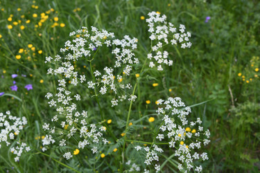 Similar image 22203603