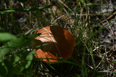 Similar image 22203084