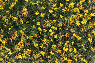 Similar image 22203604