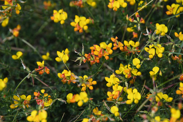 Similar image 22203605