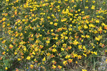 Similar image 22203606