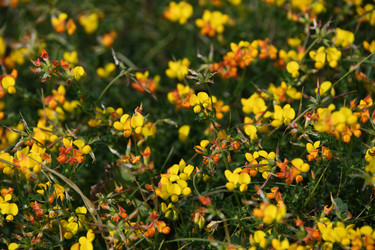 Similar image 22203555